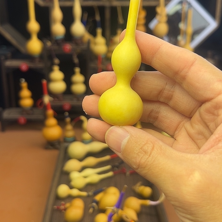 水***孙葫芦等经济作物和各种
