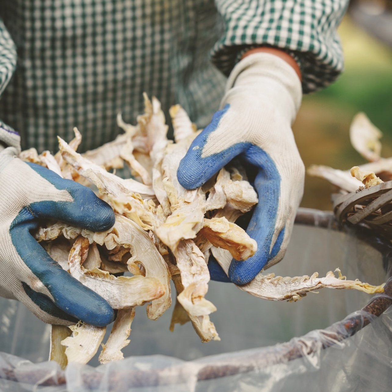 宁海双峰自晒笋干无添加