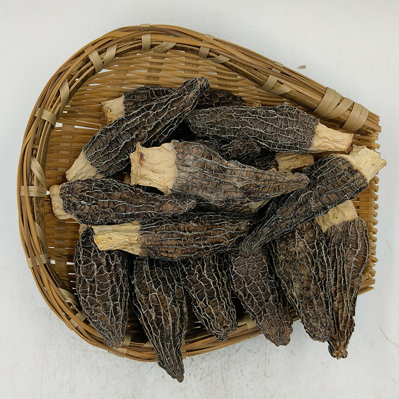 四川特产羊肚菌50g干货肉厚饱满煲汤食材鲜美