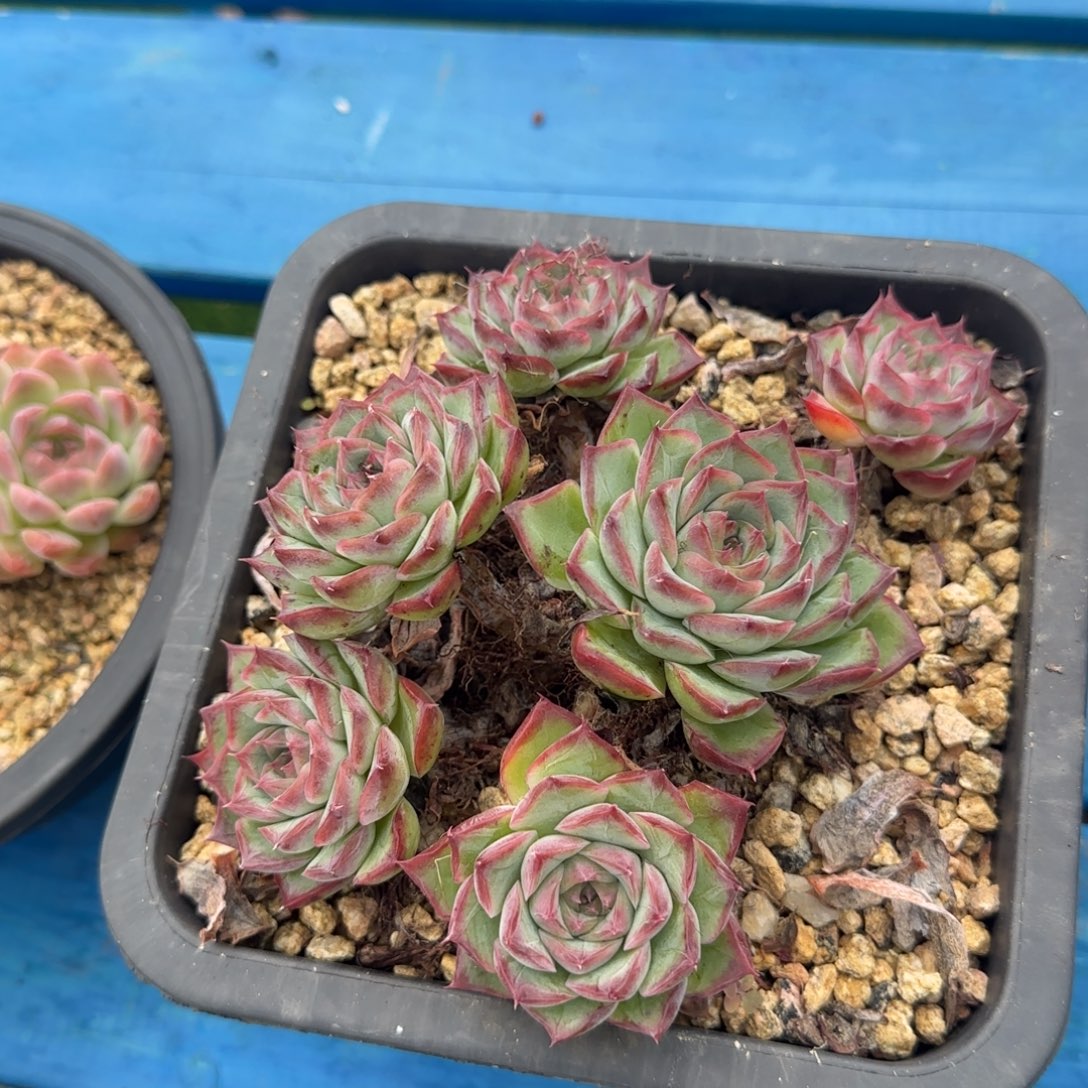 叮***5嘀嘀咕咕过的地方