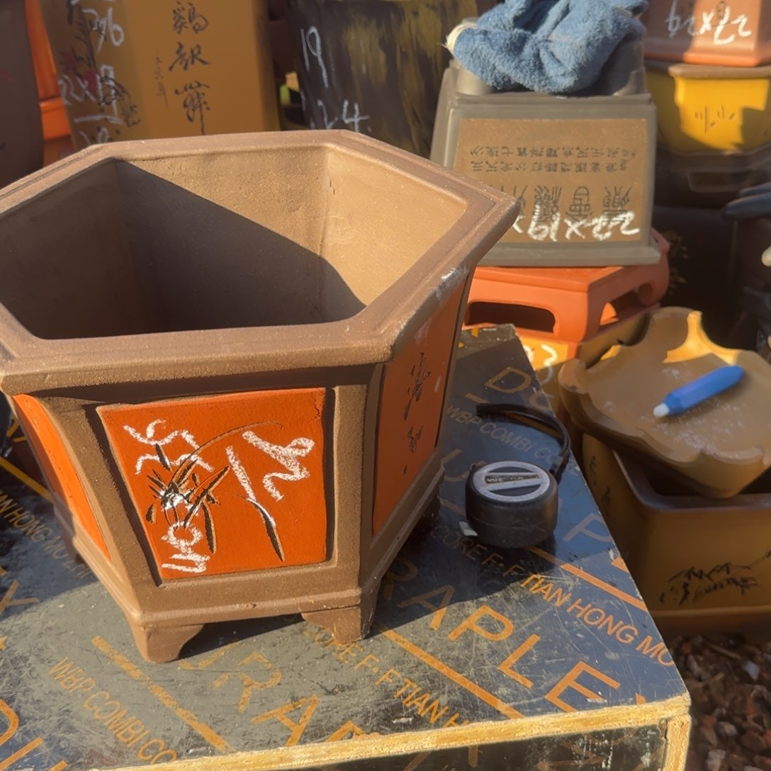 紫砂花盆花盆盆盆栽