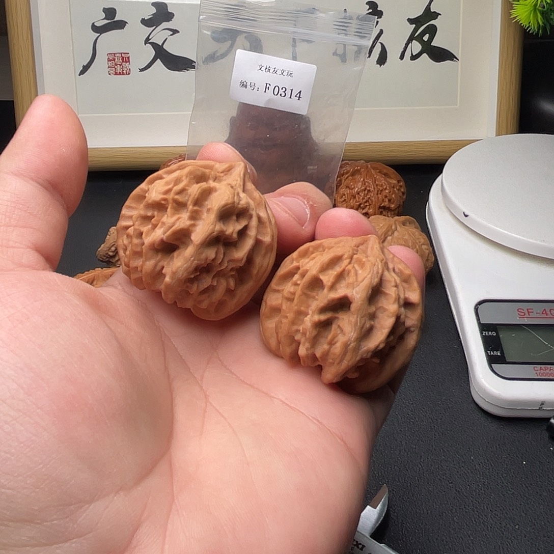 F314曹大龙42尺单只尖部黄点