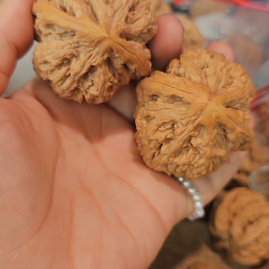 文玩核桃吊坠46粗筋