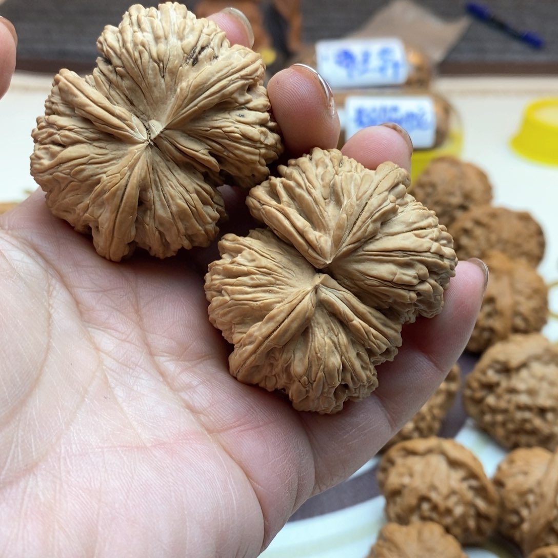 文玩核桃吊坠白狮子连体51尺全品