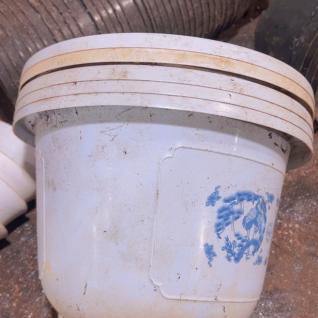 塑料富贵花开26口径5个发货