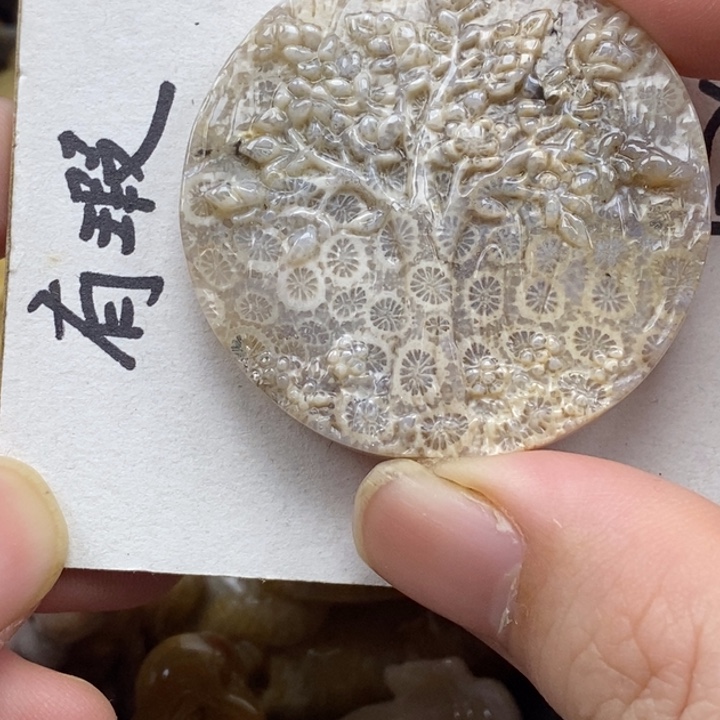 硅化珊瑚（珊瑚玉）未镶嵌颈饰