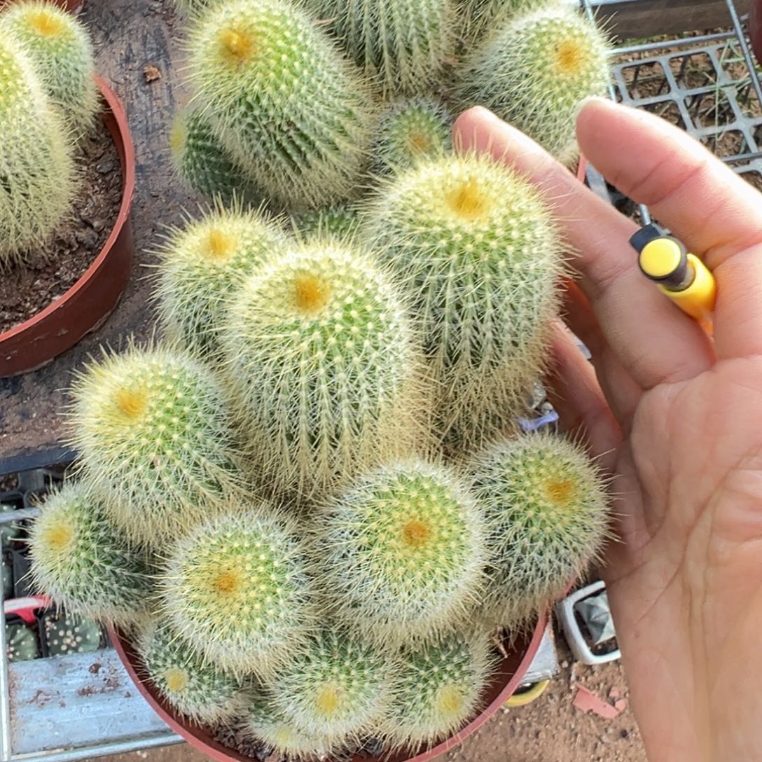 暖****零零落落 零零落落