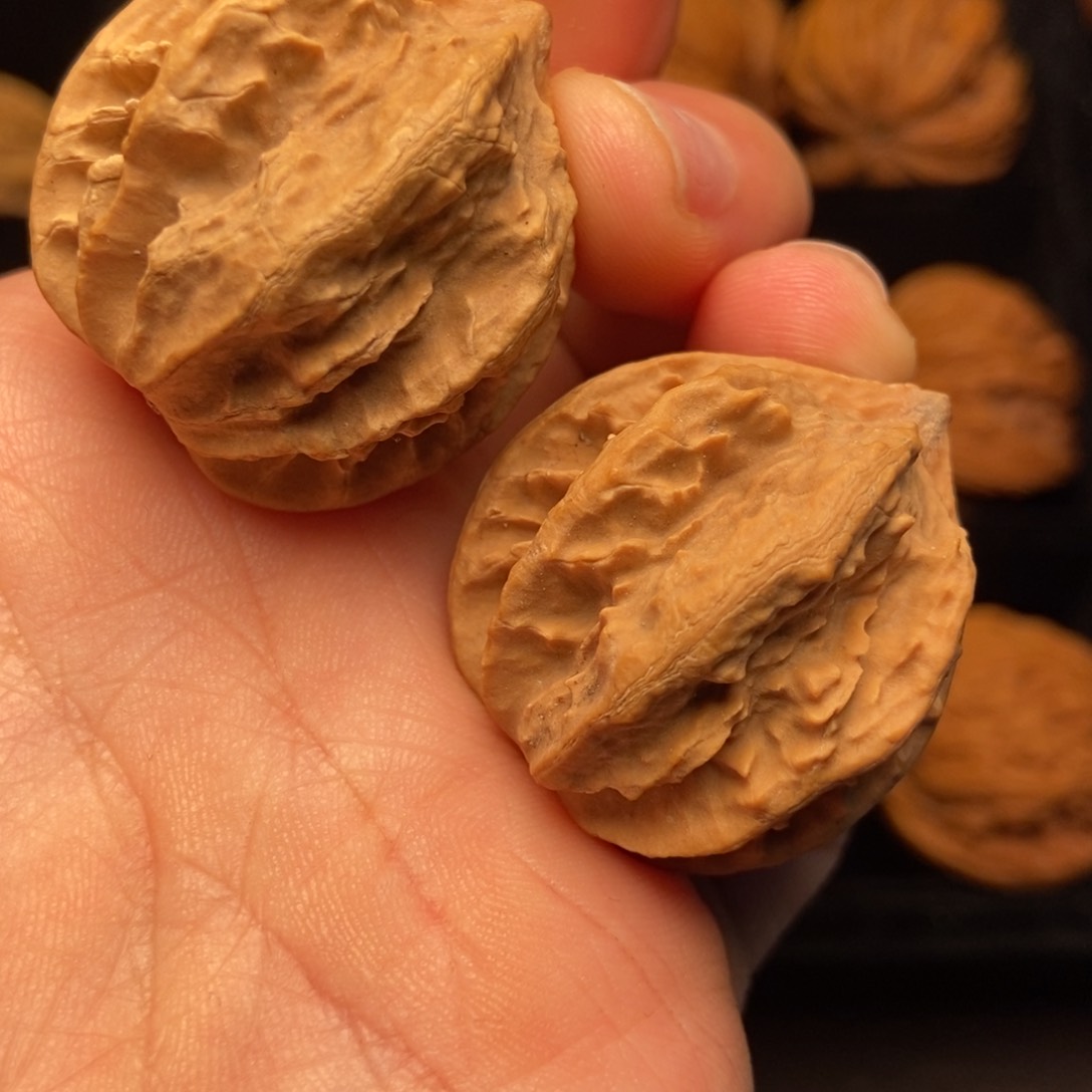 文玩核桃把件秦岭山脉核桃