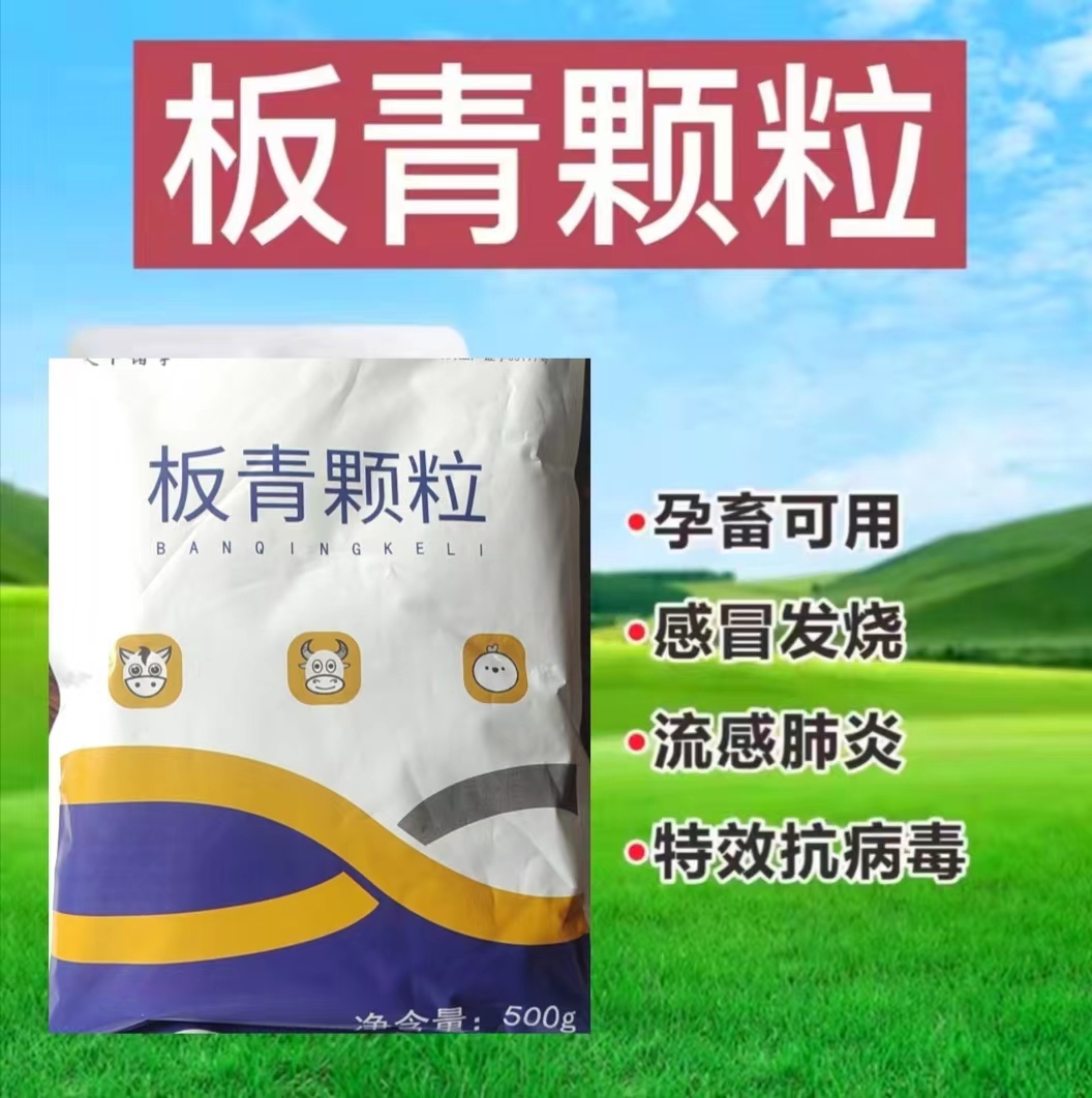 天下诸事-板清青颗粒饲料添加剂