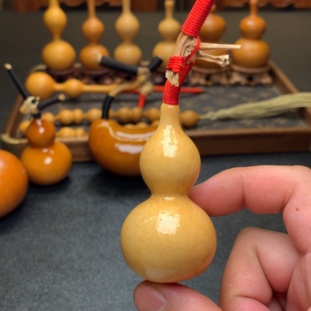 行**空天然植物保护研究所所长