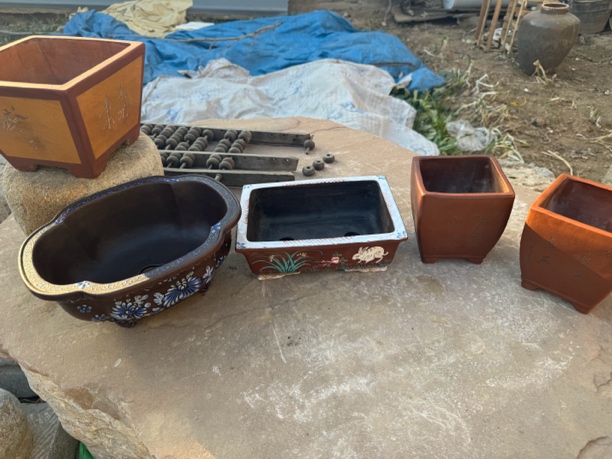 紫砂的花盆，，，，，，，，，，，，，，