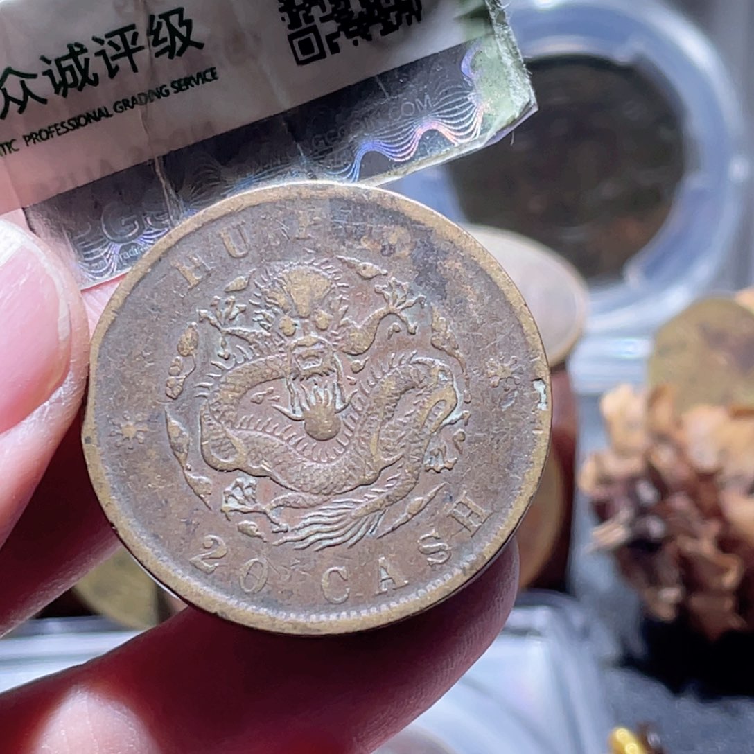 铜通古博今251108范范05