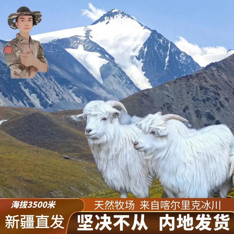 新疆喀尔里克冰川驹俐山羊半羊12斤整扇/切块24斤80%腿排