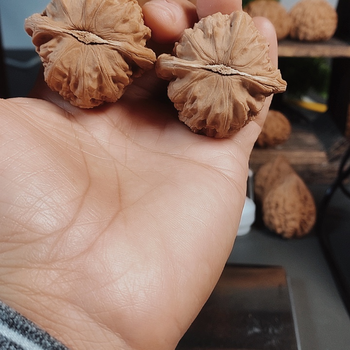 42尺白狮子红皮果骨质好