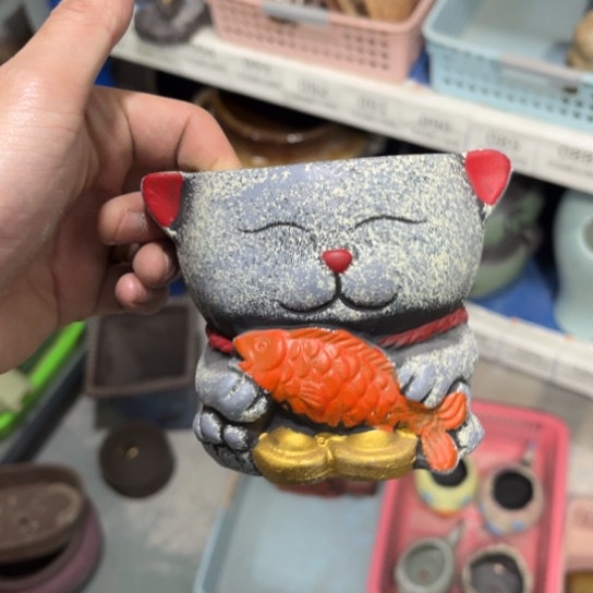 配一样的4个，，，，，8×8