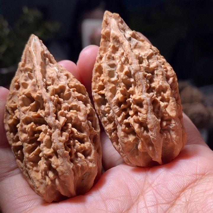 文玩核桃把件东北楸子小路 261