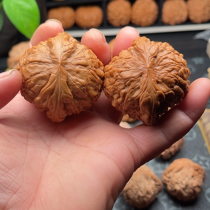 把件文玩核桃全品龙鼎边49