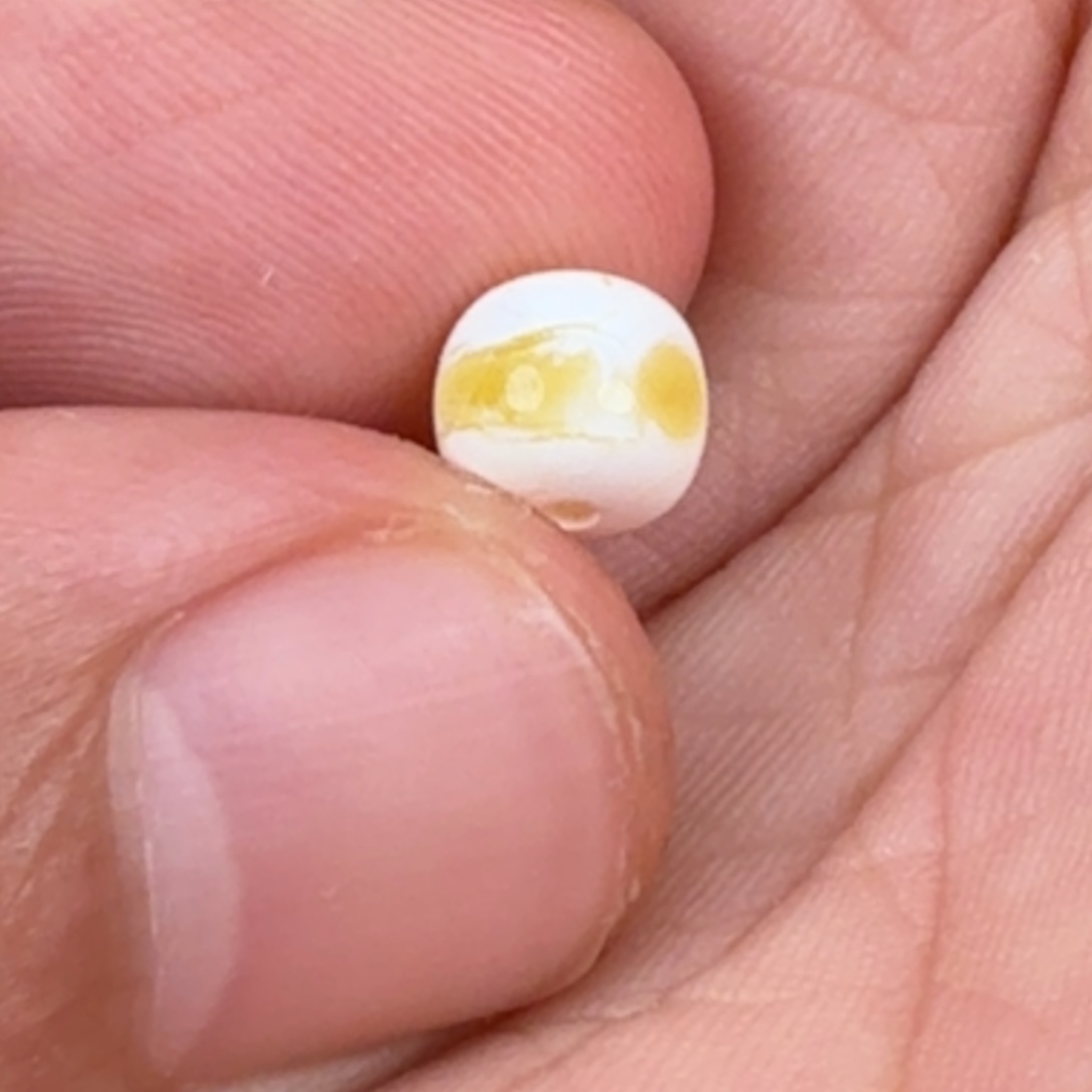 定制琥珀6*7金白溶洞老型