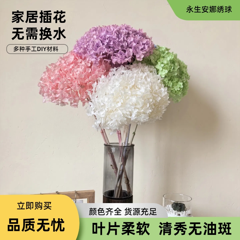 永生安娜绣球高级感永生花 diy材料家居装饰玻璃罩相框干花永生花