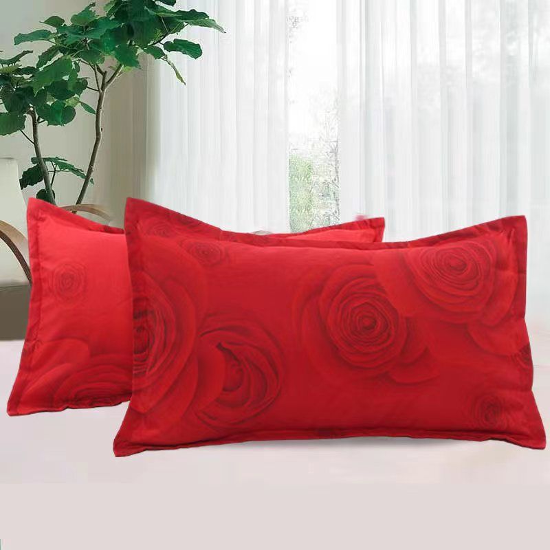 家用枕套加厚大号情侣学生宿舍枕头套公主风磨毛枕芯套