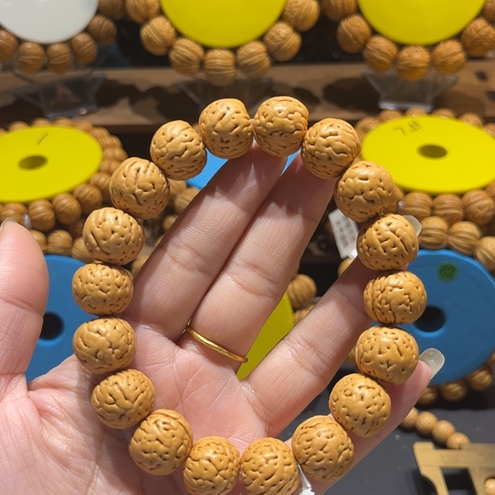 16尺寸小金丹1号串