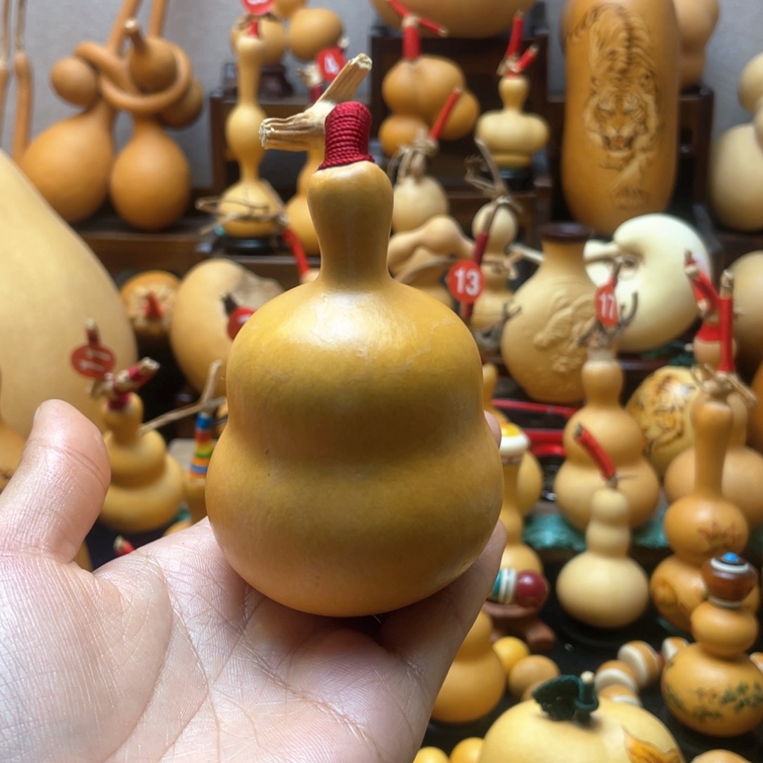 菠***肉大自然的秘密第十一节你是谁的