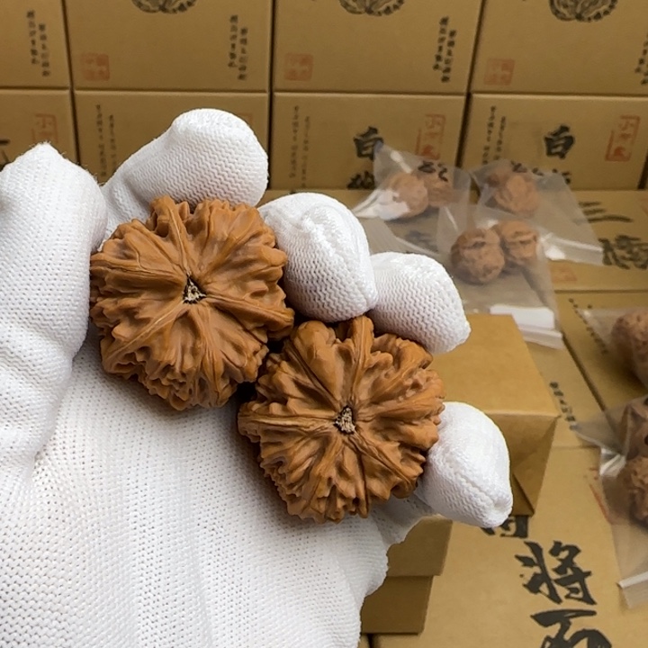 文玩核桃吊坠C****2简单包装玉龙三棱