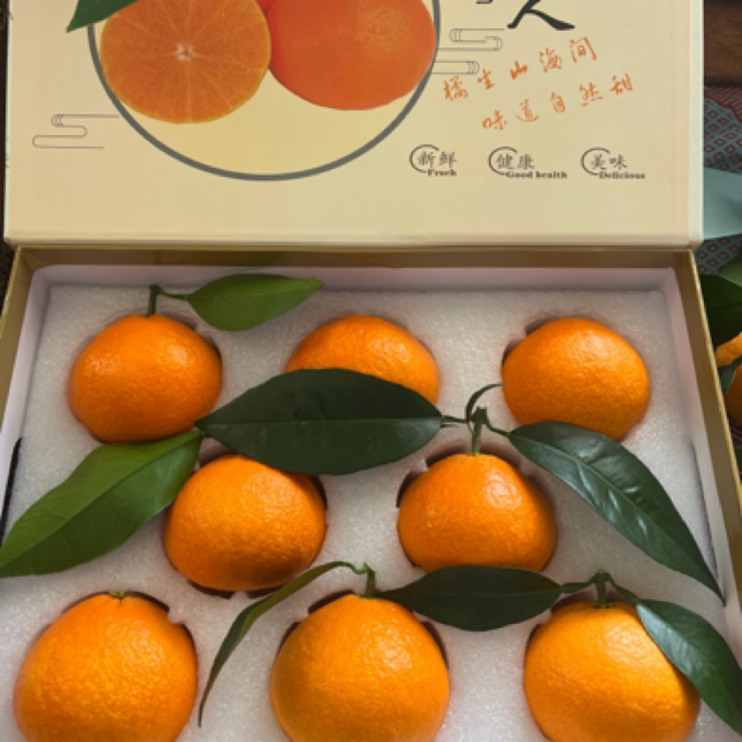 【象山原产地红美人柑橘】精品礼盒 送礼优选 4.8斤左右现摘现发