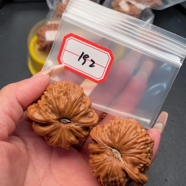 蜜***工把件文玩核桃白狮子