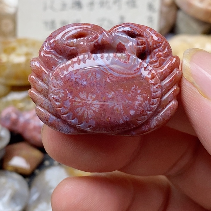 颈饰未镶嵌硅化珊瑚（珊瑚玉）