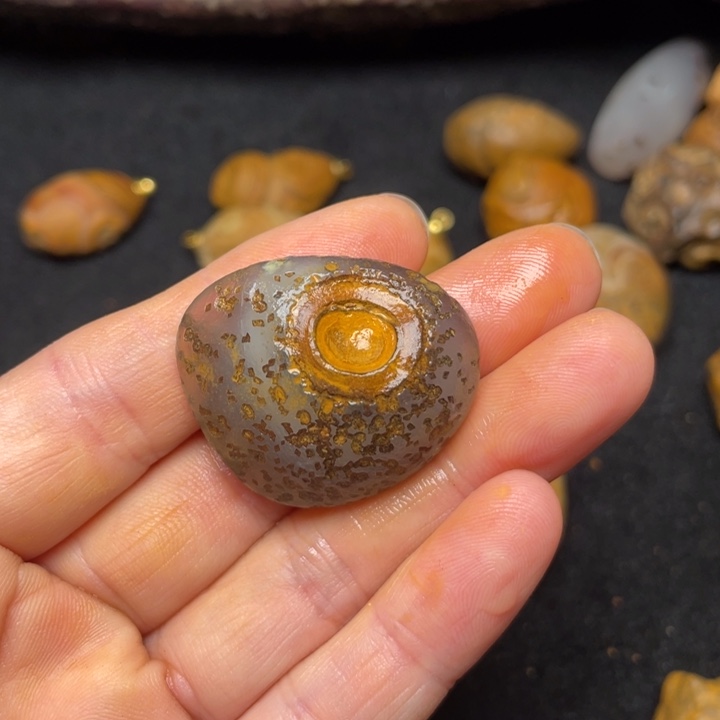 石材九眼页岩钱币石原石34