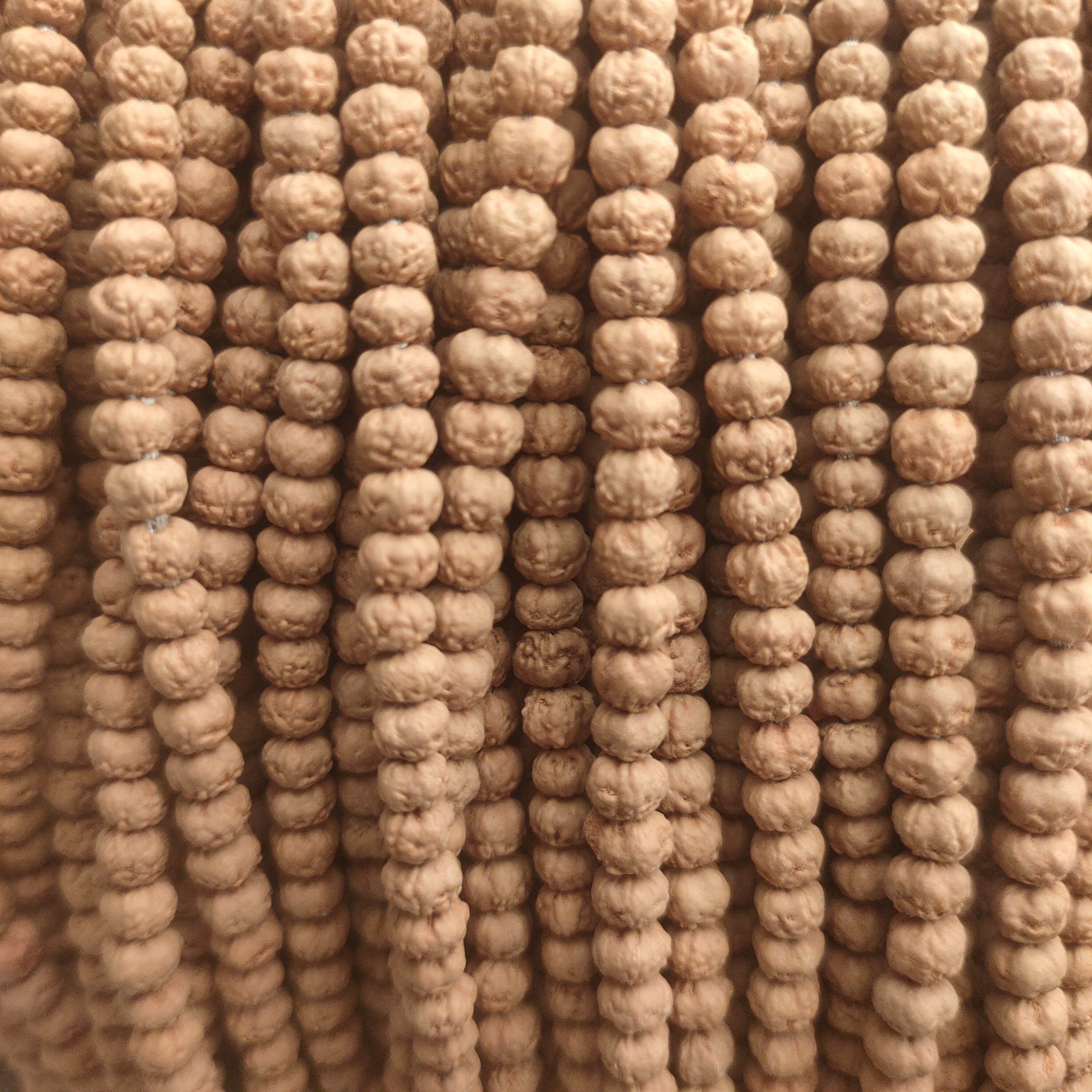 原生态红皮原桩佛手五爪金龙108*0.4爆肉南瓜矮桩小佛手金刚菩提