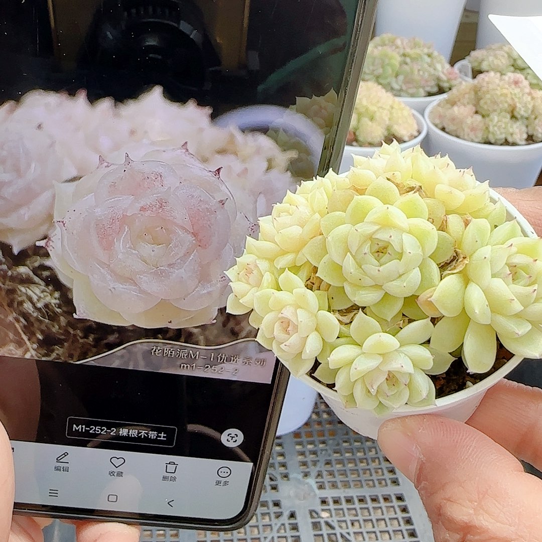 1127-27（m1-252-2）