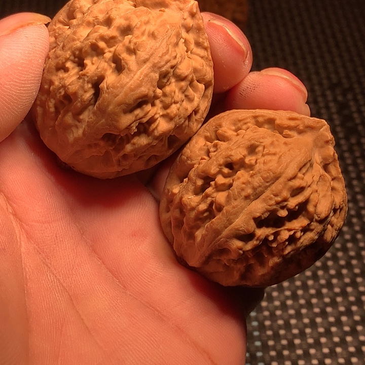 吊坠文玩核桃39霸王龙