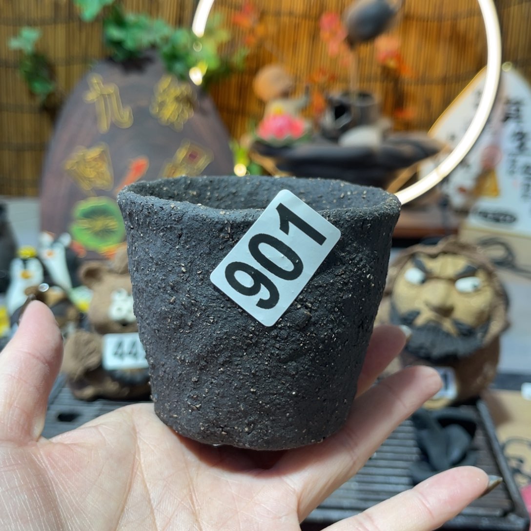 木村信弘柴烧保平