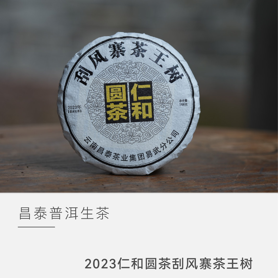 【2023仁和圆茶刮风寨茶王树】 易昌号普洱茶生茶茶叶 云人访