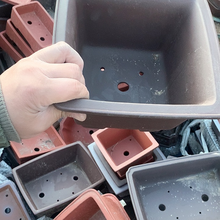 紫砂淘宝优惠券起单号