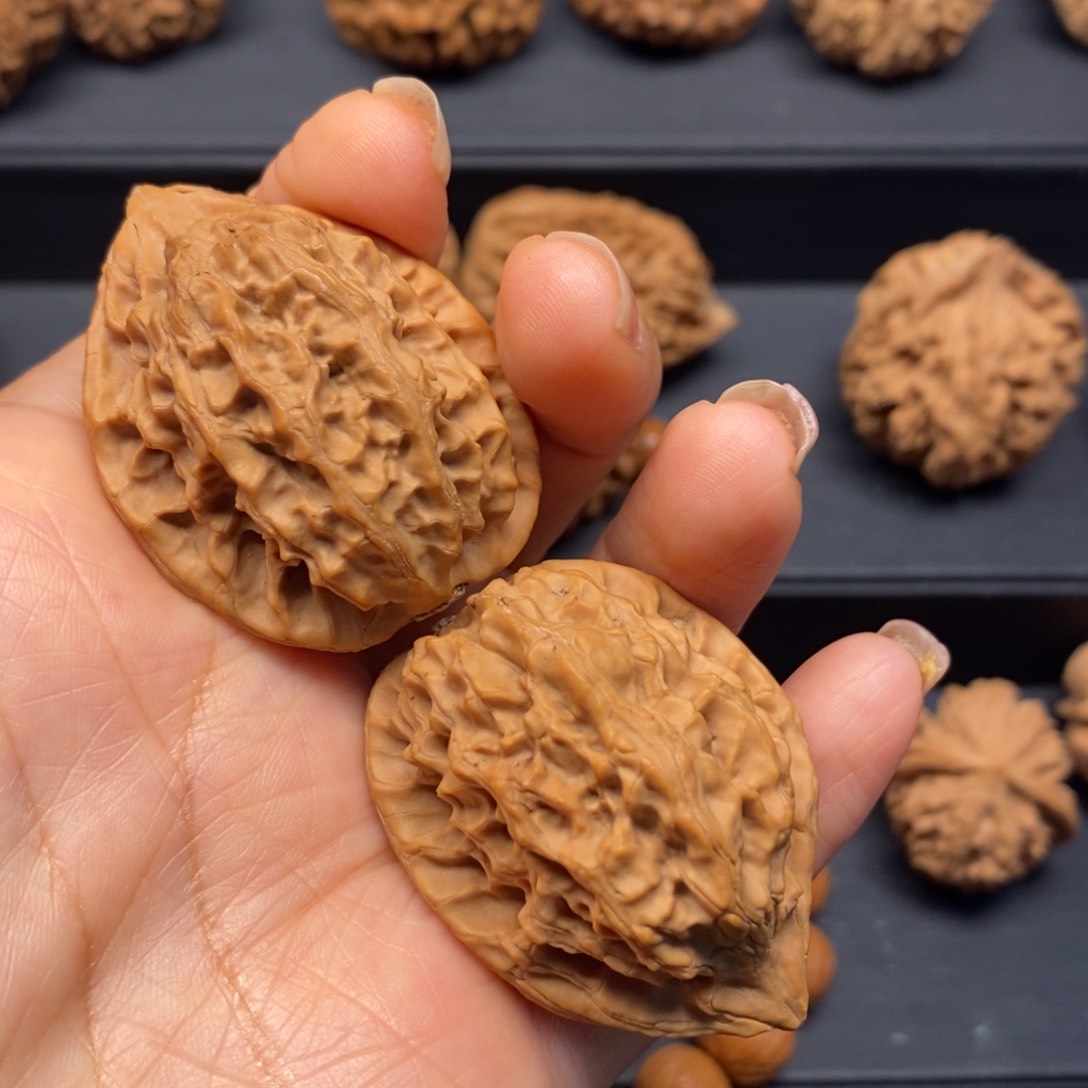 秦岭南侧和东北向两