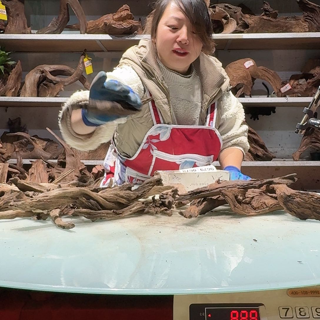 倍褚沉木不包损必褪色那**头0671紫柚树皮+玲珑木枝条