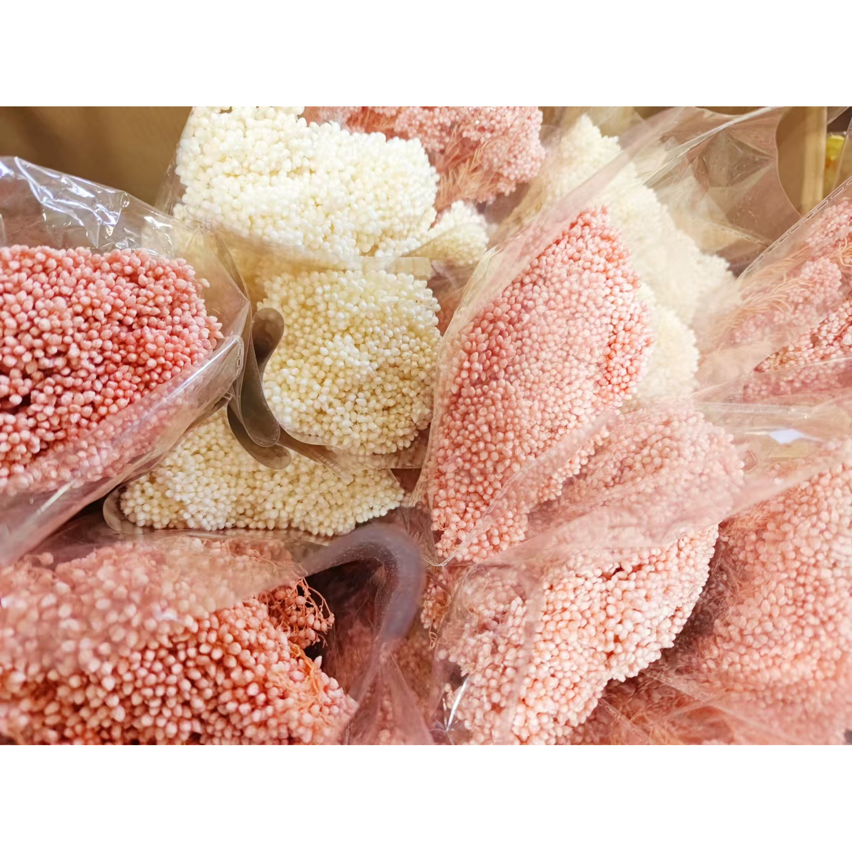 【小米花】永生花云南干花工厂批发永生小米花多色系真花客厅摆设