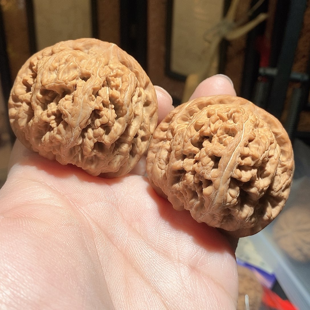 文玩核桃把件52大粗筋全品