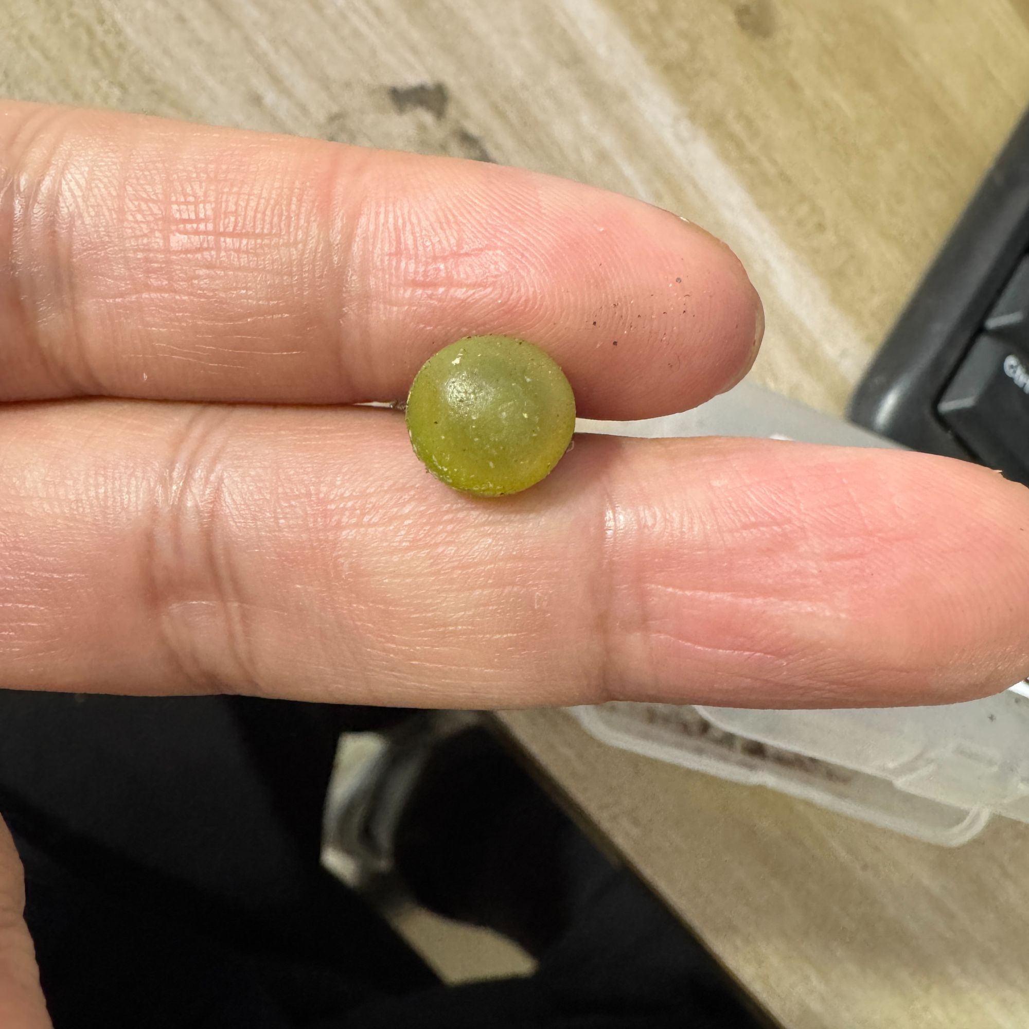 纵* 2.20。生石花。8002