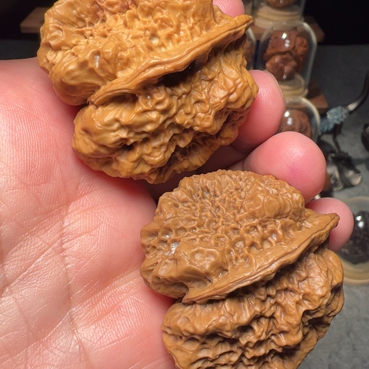 文玩核桃把件达摩古蟾44.5mm