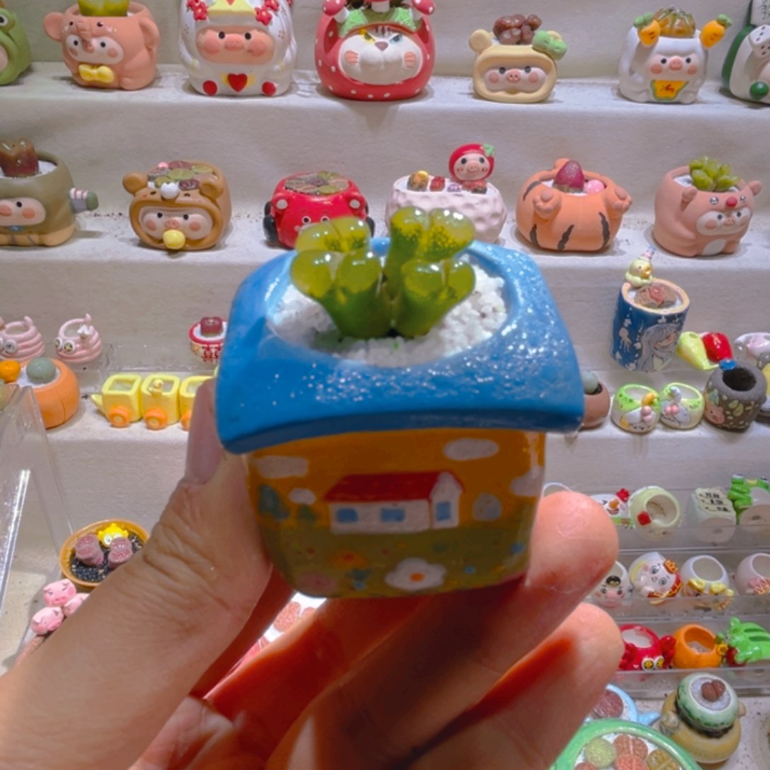 025高端多肉带盆土一套58