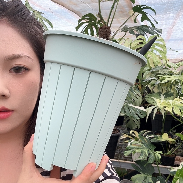 无花朵16口径盆2个送2透气柱