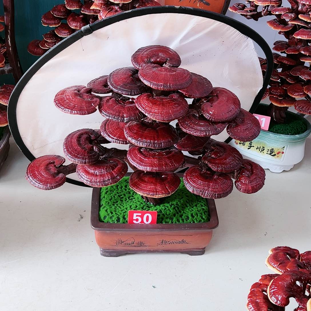 【闪购商品】无花朵