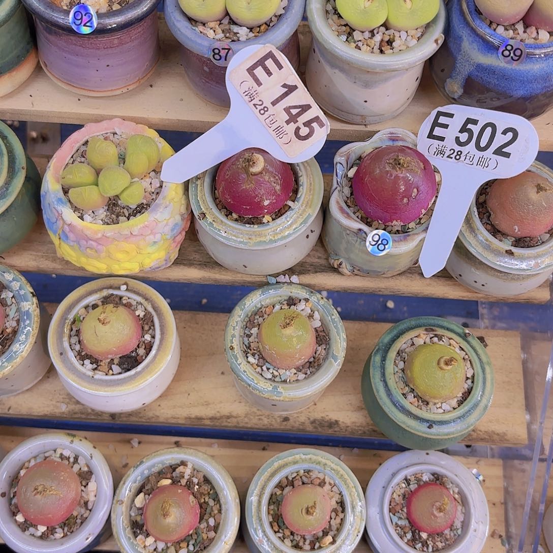 罐***干E145灯泡一物一拍