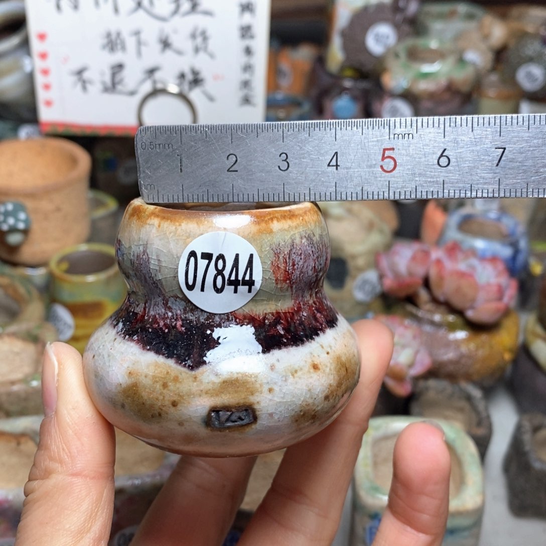 花盆拍3送一个小礼物