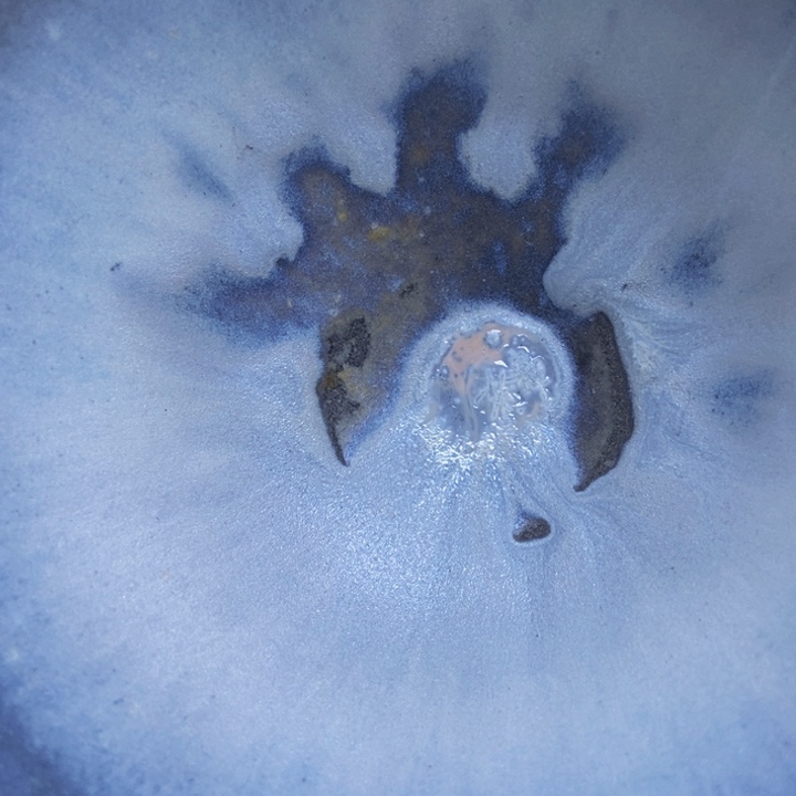 茶盏煮*菜你是我的眼里