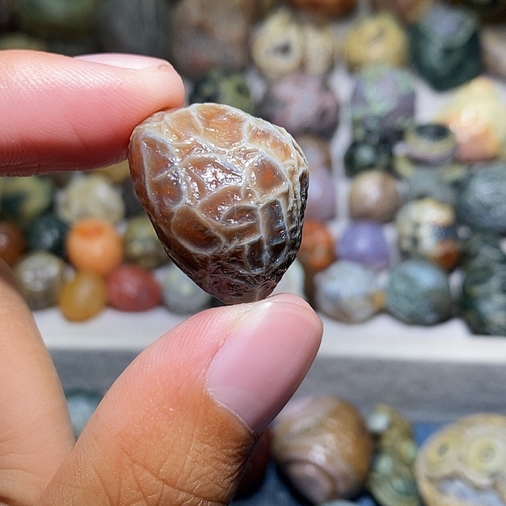 石头丸*精品筋脉单科